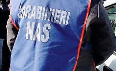 Carni non tracciate, sequestro da un quintale in una macelleria