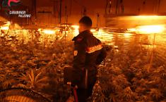 Carini, scoperta una serra indoor per la coltivazione di marijuana: tre denunce e furto di energia per 136mila euro