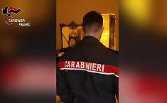 Palermo, scoperta una serra in un edificio abbandonato nel quartiere Noce: i Carabinieri sequestrano 80 piante e oltre un chilo di droga