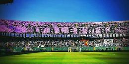 Calcio, il Palermo chiede a Musumeci di aprire lo stadio ai tifosi