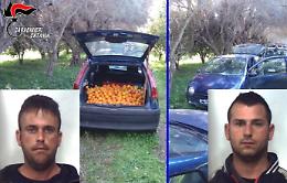 Castel di Iudica, rivede i ladri di arance nel fondo e chiama i Cc: arrestati