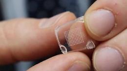 Coronavirus, negli Usa creato un vaccino-cerotto che sui topi produce gli anticorpi