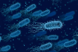 Caltanissetta, donna positiva alla Legionella finisce in Rianimazione