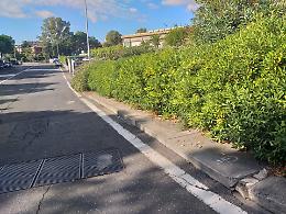 Catania: marciapiede impraticabile in via D. Morelli