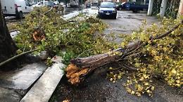 Vento forte a Palermo: decine di interventi dei vigili del fuoco