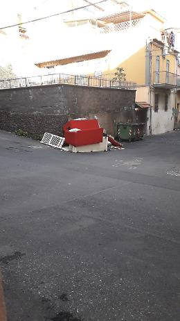 Catania: l'inciviltà non conosce estinzione della specie