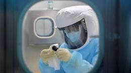 Coronavirus, il Madagascar lo cura con una tisana a base di salvia