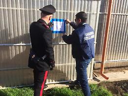 Caronia, materiale tossico e pesticidi sversati illegalmente: 3 denunciati