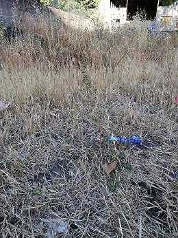 Piano Tavola-Belpasso: i cittadini si autotassano per pulire le aree pubbliche