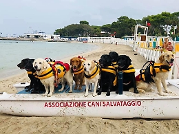 A Palermo, ferragosto sicuro in mare con i cani salvataggio della protezione civile