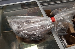 Blitz del Nas a Ustica: 50 chili di carne e pesce mal conservati