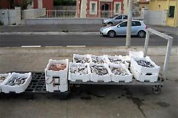 Due tn di pesce non tracciato sequestrate tra Catania e Siracusa