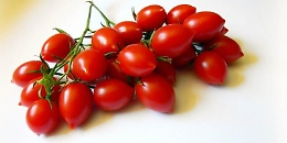 Pomodoro di Pachino, il Tar dà ragione al Consorzio di tutela Igp