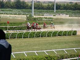 L'ippodromo di Palermo resta chiuso, il Tar dà ragione al prefetto