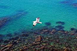 Le storie che raccontano le due sponde del Mare Nostrum