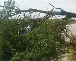 Il forte vento travolge Palermo e blocca le Eolie: traghetti fermi al porto