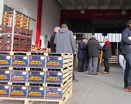 Vittoria, estorsioni al mercato ortofrutticolo, due arresti e sequestrate aziende di trasporto