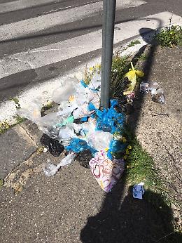 Catania, in via San Filippo Neri sparito il contenitore per le deiezioni canine