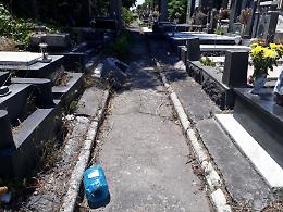 Lapidi rotte, spazzatura, erba alta: mai tanto degrado al cimitero di Catania