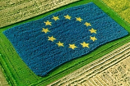 Frode sui fondi Ue,  denunciati nel Trapanese 36 finti giovani agricoltori