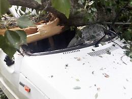 Fiumedinisi, albero di pioppo si spezza e piomba su giovane automobilista