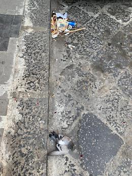 Catania, Via Reclusorio del Lume: la strada non viene spazzata da mesi