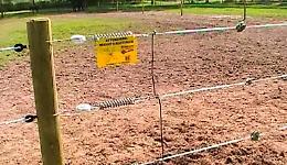 Messina, uomo muore folgorato dalla recinzione elettrica per i cinghiali