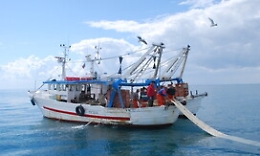 Pesca, l'accordo con le milizie libiche che divide la categoria a Mazara