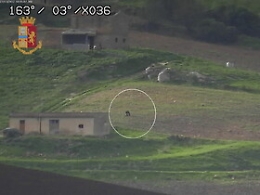 Mafia, caccia a Matteo Messina Denaro: perquisizioni in tutto il Trapanese