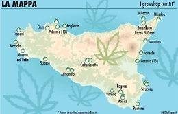La Cassazione sdogana la cannabis light
ma in Sicilia il business è già una realtà
