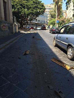 Non solo degrado: tra chiodi e cordoli divelti, ora la via Sant'Euplio a Catania è davvero pericolosa