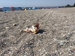 Troppi vacanzieri e depuratori non funzionanti sporcano spiaggia "Marina di Cottone"