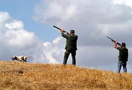 La caccia in Sicilia non viene anticipata: arriva anche lo stop del Cga