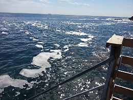 &laquo;Il mare della Sicilia orientale non &egrave; tutelato, ad Augusta scarica in mare anche l'ospedale&raquo;