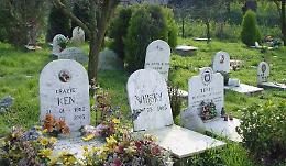 Catania, il cimitero per gli animali frenato dalla burocrazia