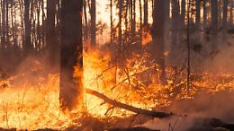 Incendi nel Parco delle Madonie: dal satellite la mappa del fuoco e dei danni