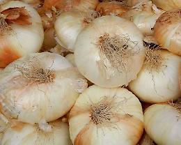 Cipolla siciliana nella top ten degli odori