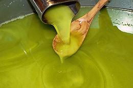 La Commissione Ue ha detto sì: l'olio extravergine di oliva di Sicilia diventa Igp