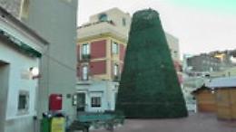 Maltempo, a Capri vola tutto e l'Albero di Natale si spezza in due