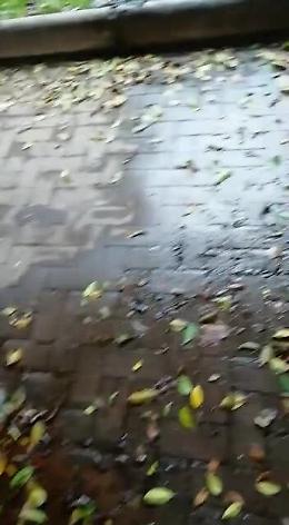 Catania: perdita d'acqua in piazza Roma ma il prato è secco