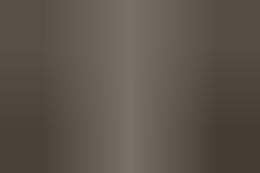 Catania, il canile-rifugio era un lager: la polizia libera 55 animali