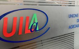"Sotto Scacco", Uila Sicilia su denuncia di Condorelli: "Esempio di azienda sana"