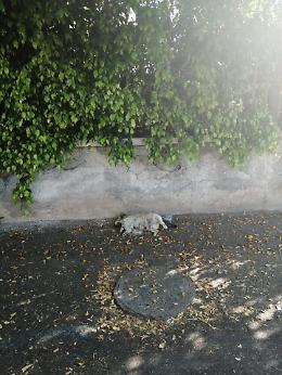 Catania lungomare: passeggiando tra la bellezza e il degrado