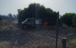 Incendio lambisce vivaio, paura a San Francesco la Rena