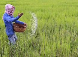 Wwf: aumenta lo spreco del cibo, buttato il 40%