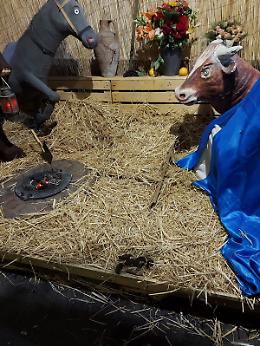 Ognina (Ct): presepe deturpato da escrementi canini