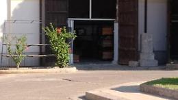 Precipita dentro un loculo con un volo di 7 metri: donna cade ai Rotoli di Palermo