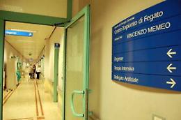 Epatiti anomale nei bimbi, il Ministero della Salute indica controlli da effettuare