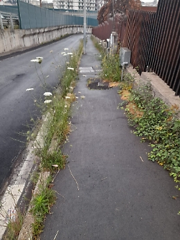 Catania: erbacce e spine all'ingresso della scuola