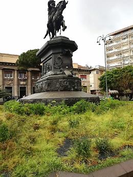 Catania: re Umberto I di Savoia circondato da erbacce